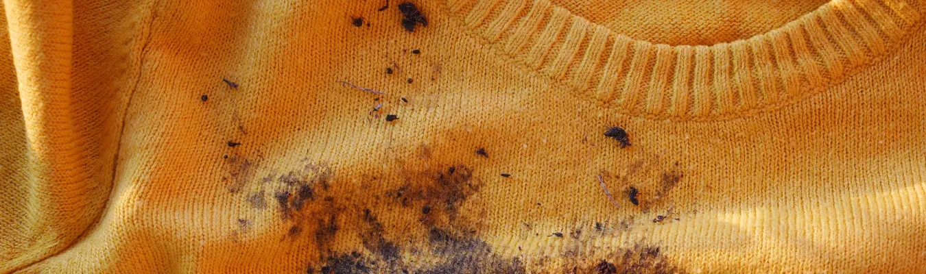 muddy-sweater